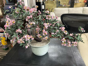 Jade Tree Decorative Accent